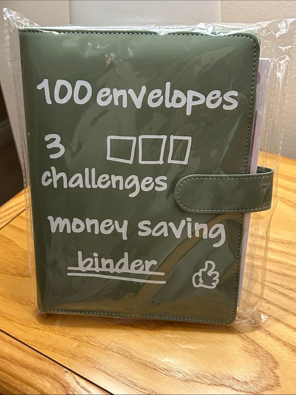Ina Green Money Saving Binder - 100 Envelopes